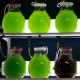 EnAlgae pilot plant open day: Algae for nutrition